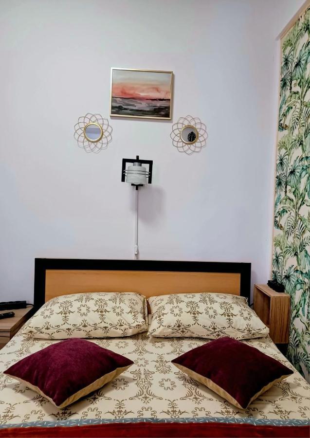 Studio Republicii Apartment Brasov Bagian luar foto