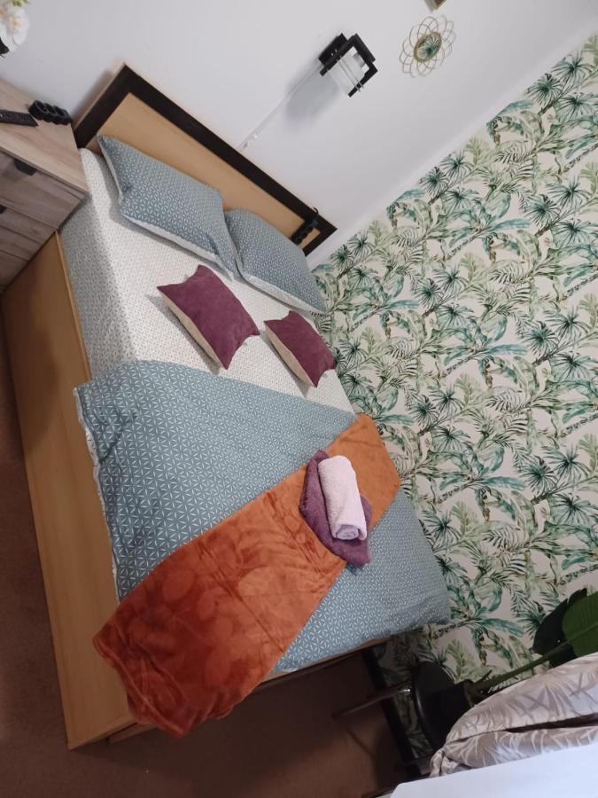 Studio Republicii Apartment Brasov Bagian luar foto